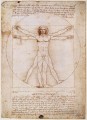 Hombre de Vitruvio Leonardo da Vinci